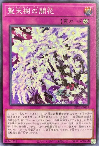 画像1: 聖天樹の開花/ノーマル(SLT1-JP039) (1)