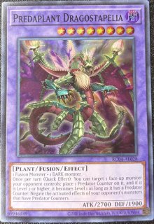 【価格変更済みです！】泰亜版Asia English プリシク　神炎竜ルベリオン 遊戯王 泰亜版 - カードショップすぱいらる通販 (Page 1)