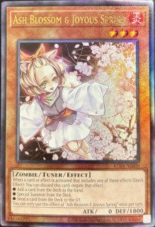 遊戯王 泰亜版 - カードショップすぱいらる通販 (Page 1)