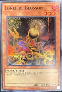 遊戯王 泰亜版 - カードショップすぱいらる通販 (Page 1)