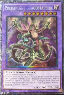 PSA10 遊戯王 泰亜版 増殖するG RC04-AE005 25thシクレア 000000059749_vmSOQQx.jpg