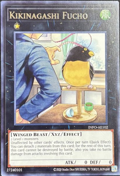 画像1: キキナガシ風鳥 レア（INFO-AE102） (1)