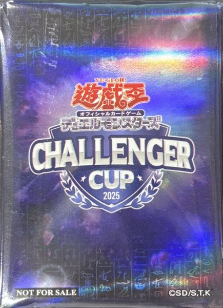 画像1: CHALLENGER CUP 2025 スリーブ (1)