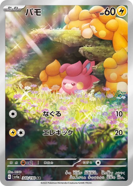 画像1: パモ/AR(340/190)【sv4a】 (1)