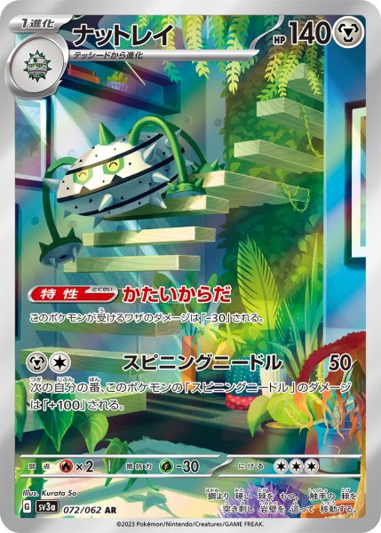 画像1: ナットレイ/AR(072/062) (1)