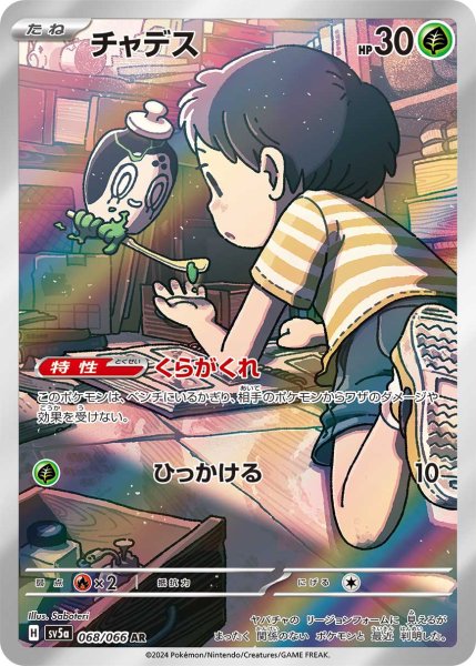 画像1: チャデス/AR(068/066)【sv5a】 (1)