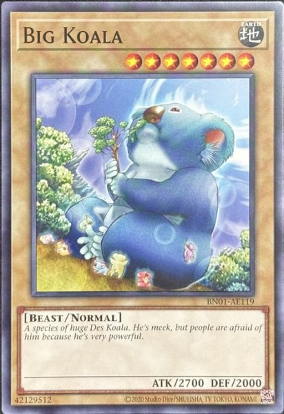 画像1: ビッグ・コアラ ノーマル（BN01-AE119） (1)