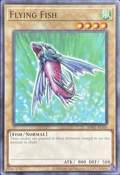 画像1: フライング・フィッシュ ノーマル（BN01-AE106） (1)