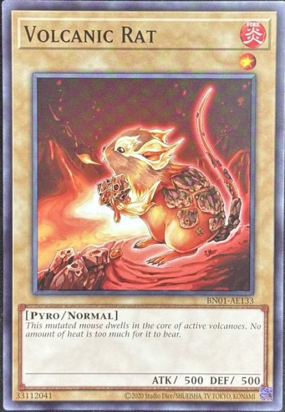 画像1: ヴォルカニック・ラット ノーマル（BN01-AE133） (1)