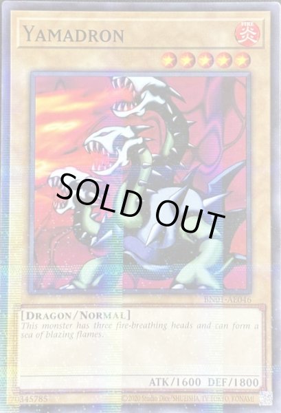 画像1: ヤマドラン パラレル（BN01-AE046） (1)