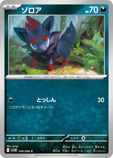 画像1: ゾロア/C(058/086)【SV11W】 (1)