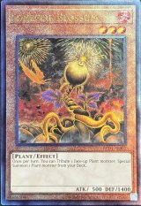 遊戯王 泰亜版 - カードショップすぱいらる通販 (Page 1)