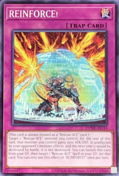 画像1: REINFORCE！ ノーマル（DUNE-AE119） (1)