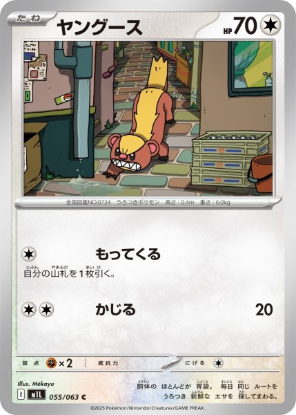 画像1: ヤングース/C(055/063)【M1L】 (1)