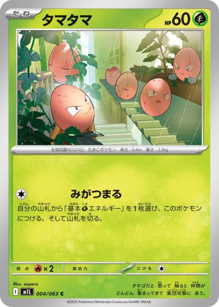 画像1: タマタマ/C(004/063)【M1L】 (1)