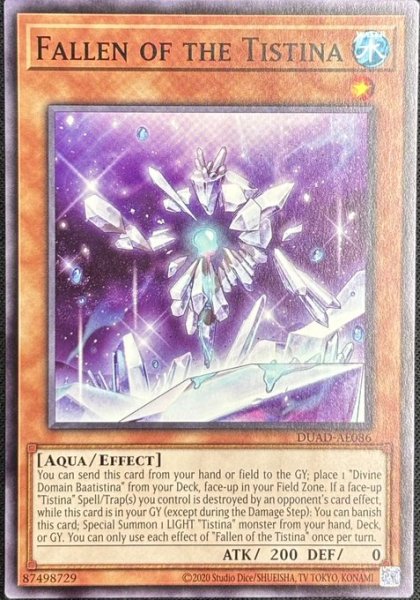 画像1: ティスティナの落とし仔 ノーマル（DUAD-AE086） (1)