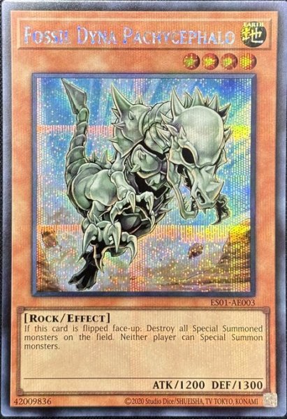 画像1: フォッシル・ダイナ パキケファロ シークレットレア（ES01-AE003） (1)