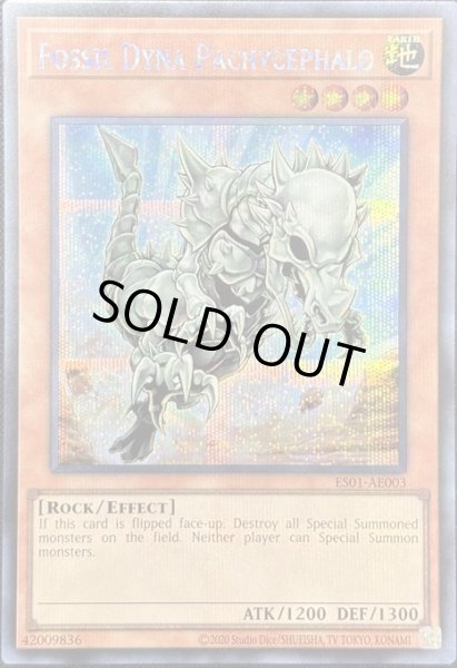 画像1: フォッシル・ダイナ パキケファロ シークレットレア（ES01-AE003） (1)