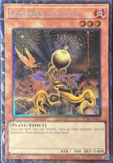 遊戯王 泰亜版 ピュアリィ25thシークレット CR01-AE177 167 遊戯王 泰亜版 ピュアリィ25thシークレット CR01-AE177 167 2025