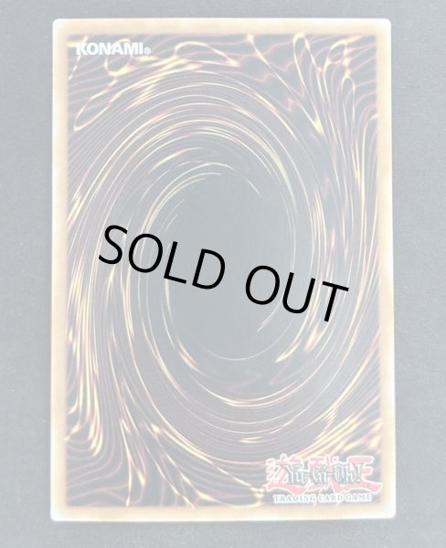 画像2: 【特価】K９－１７号 イヅナ コレクターズレア EU版（JUSH-031） (2)