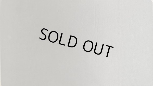 画像2: WCQ VS（ヴァンキッシュ・ソウル） プレイマット☆ (2)