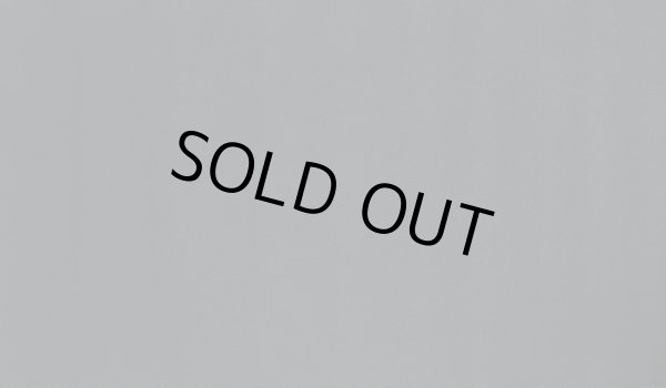 画像1: 十六夜アキ/ブラックローズドラゴン プレイマット (1)