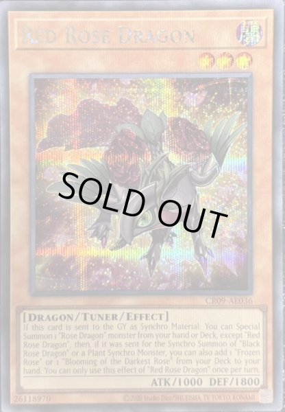 画像1: レッドローズ・ドラゴン　シークレットレア（CR09-AE036） (1)
