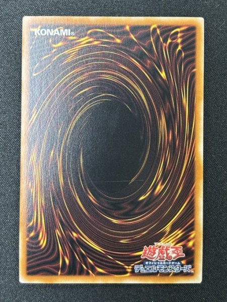 画像2: スネークアイ・エクセル クォーターセンチュリーレア（AGOV-AE007） (2)