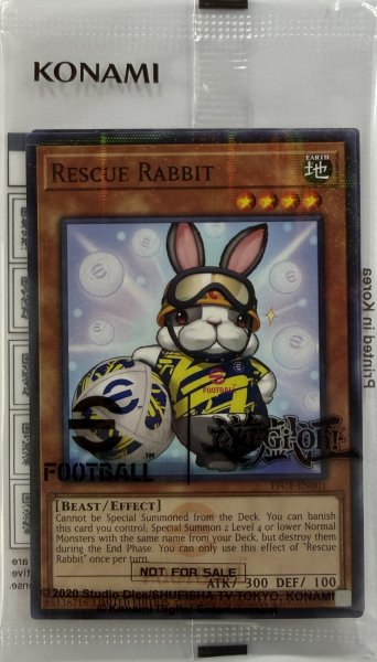 画像1: (未開封)レスキューラビット&ネイマール (EFC1-EN001) (1)
