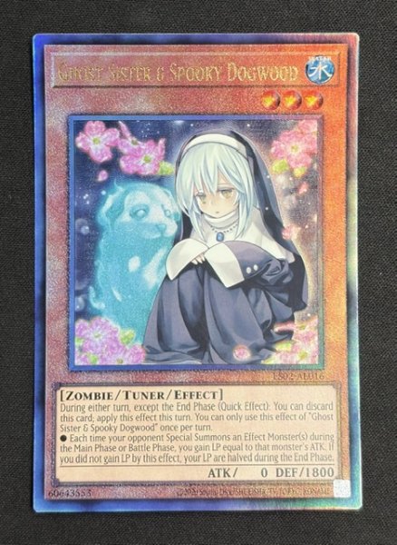 画像1: 儚無みずき アルティメットレア（ES02-AE016） (1)