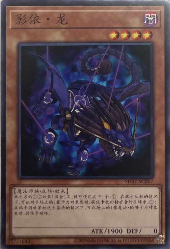 中国語 シャドールドラゴン ノーマル Sd37 Sc007 カードショップすぱいらる